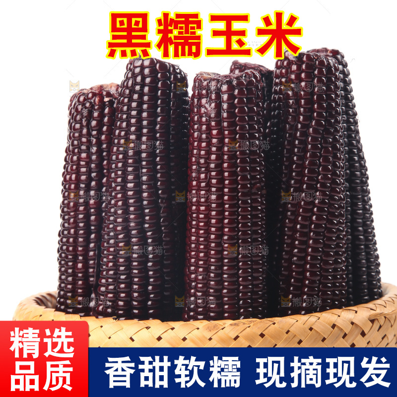 白底上的黑糯玉米