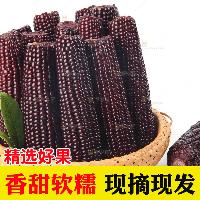 白底上的黑糯玉米