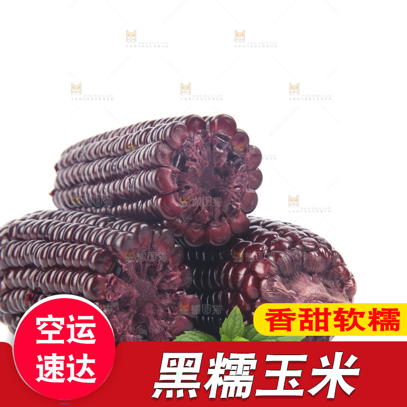 白底上的黑糯玉米