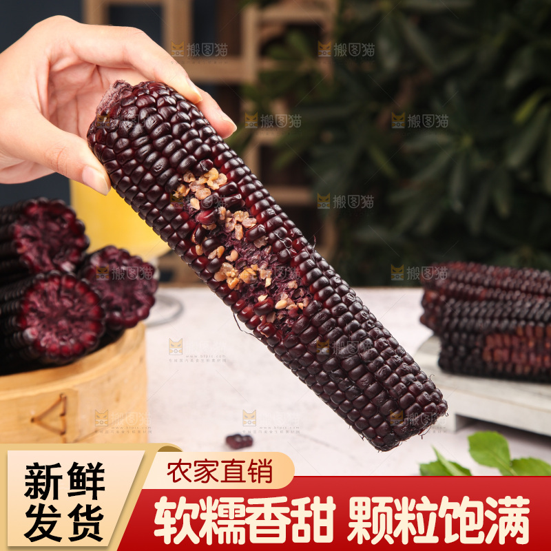 浅底上的黑糯玉米