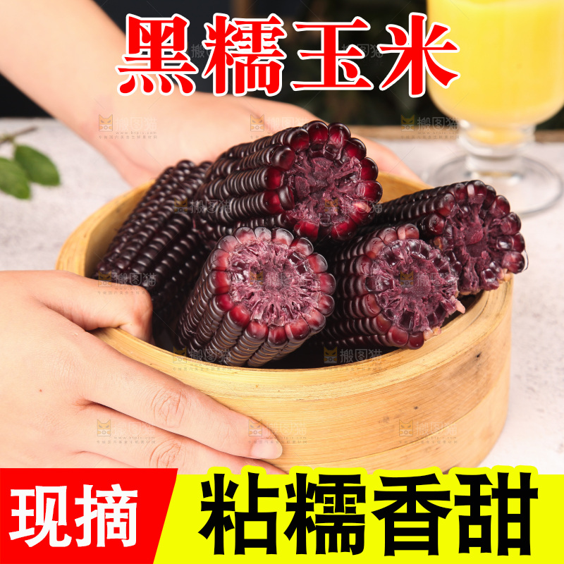 浅底上的黑糯玉米