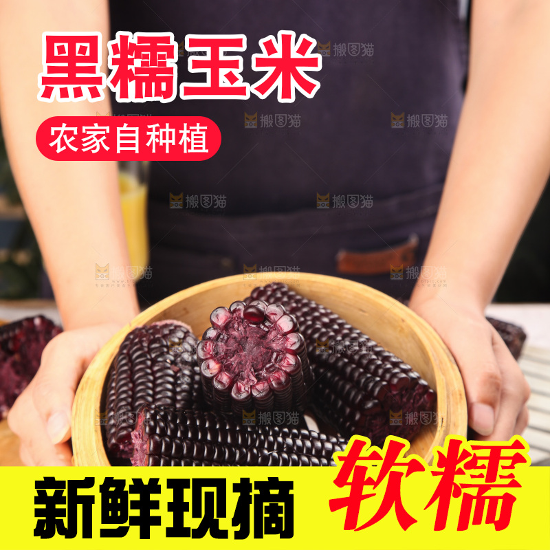 浅底上的黑糯玉米