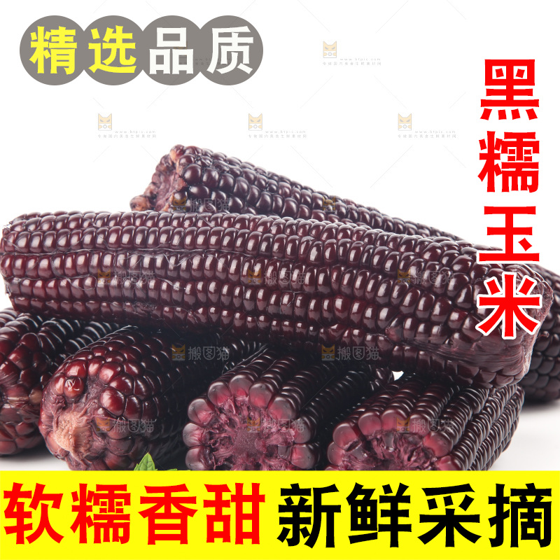 白底上的黑糯玉米
