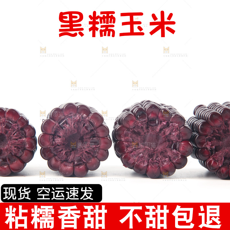 白底上的黑糯玉米