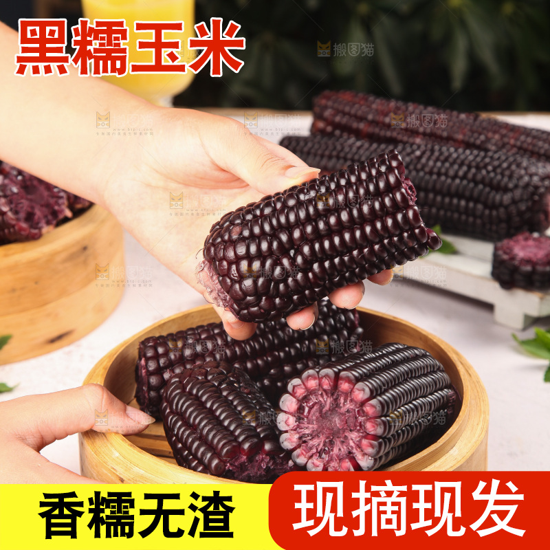浅底上的黑糯玉米