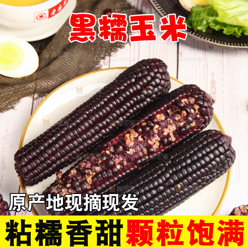 浅底上的黑糯玉米