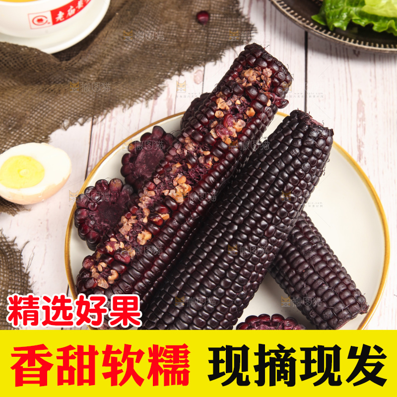 浅底上的黑糯玉米