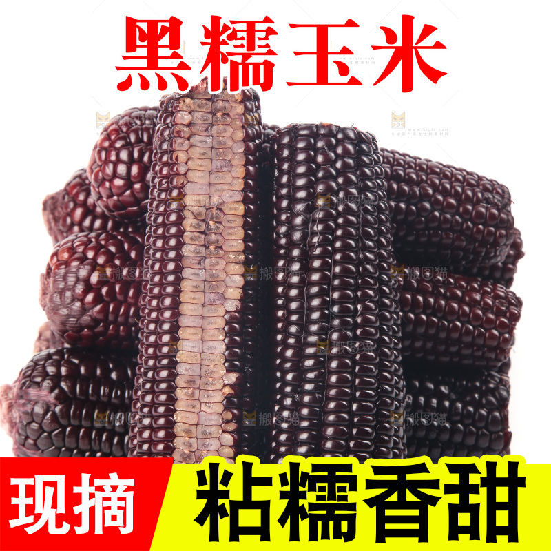 白底上的黑糯玉米