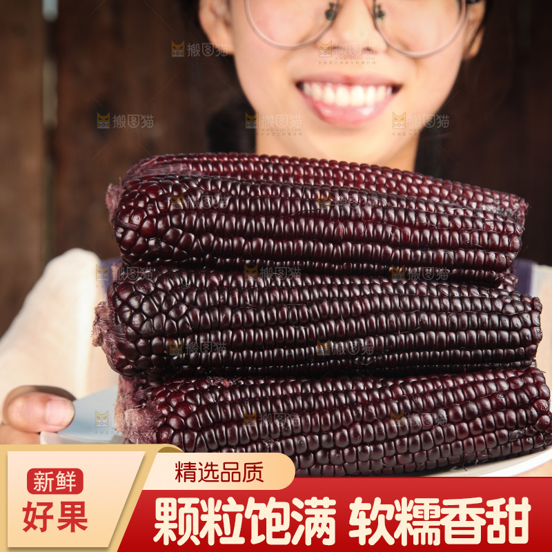 手里拿着黑玉米