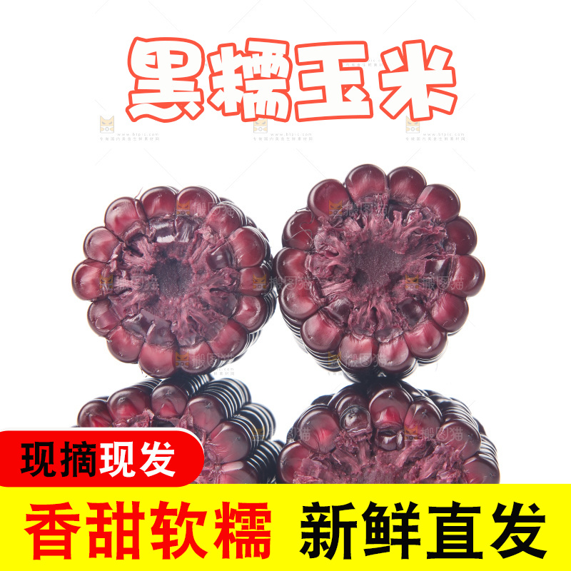 白底上的黑糯玉米