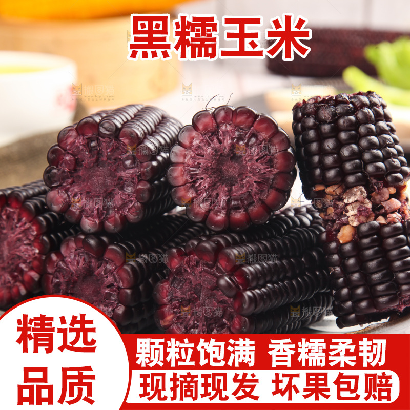 浅底上的黑糯玉米