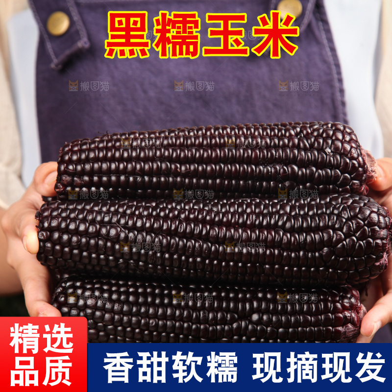 木底上的黑糯玉米