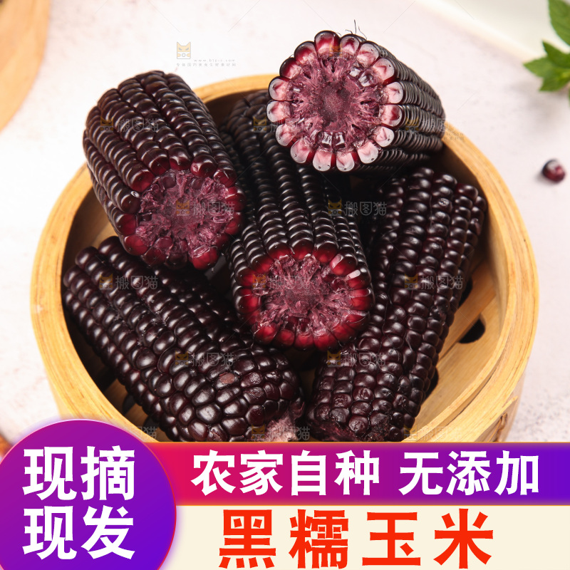 浅底上的黑糯玉米