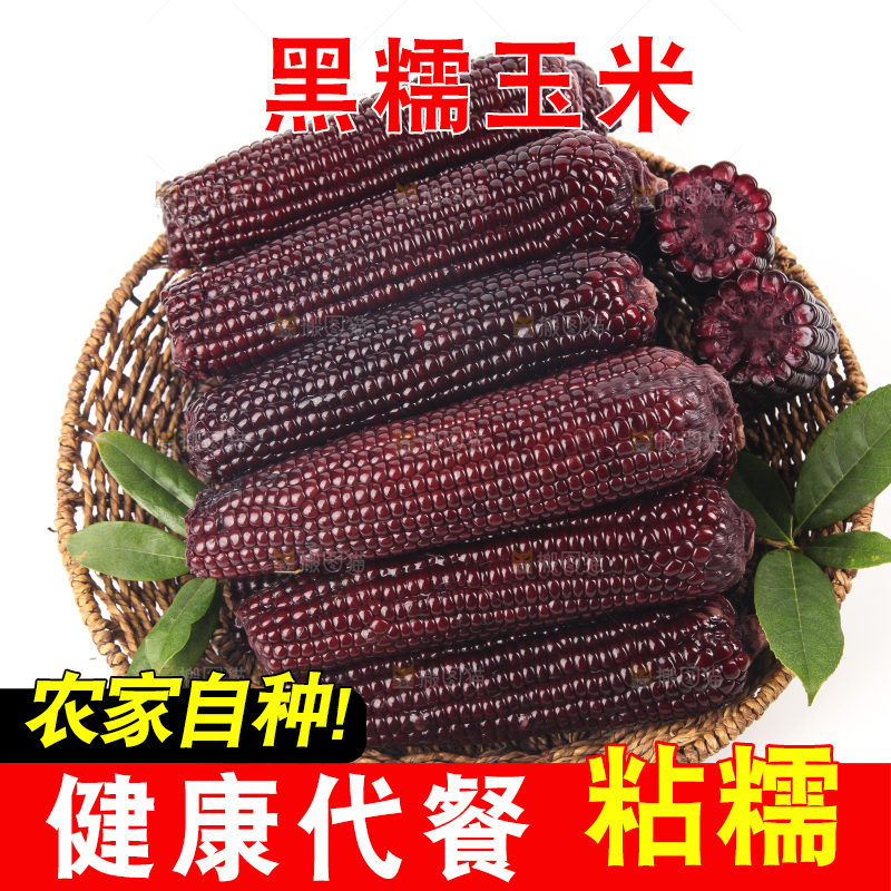 白底上的黑糯玉米