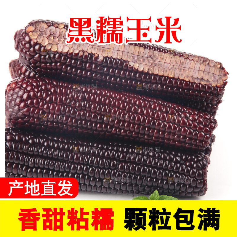 白底上的黑糯玉米