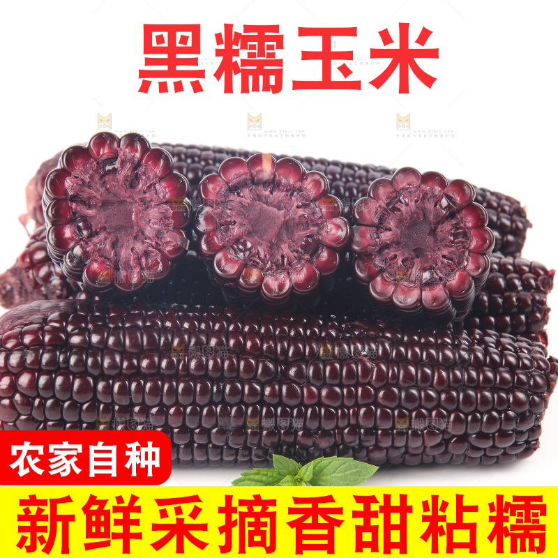 白底上的黑糯玉米