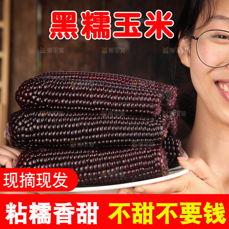 手里拿着黑玉米