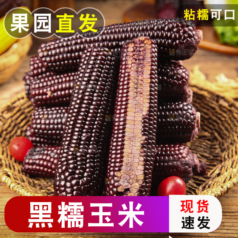 木底上的黑糯玉米