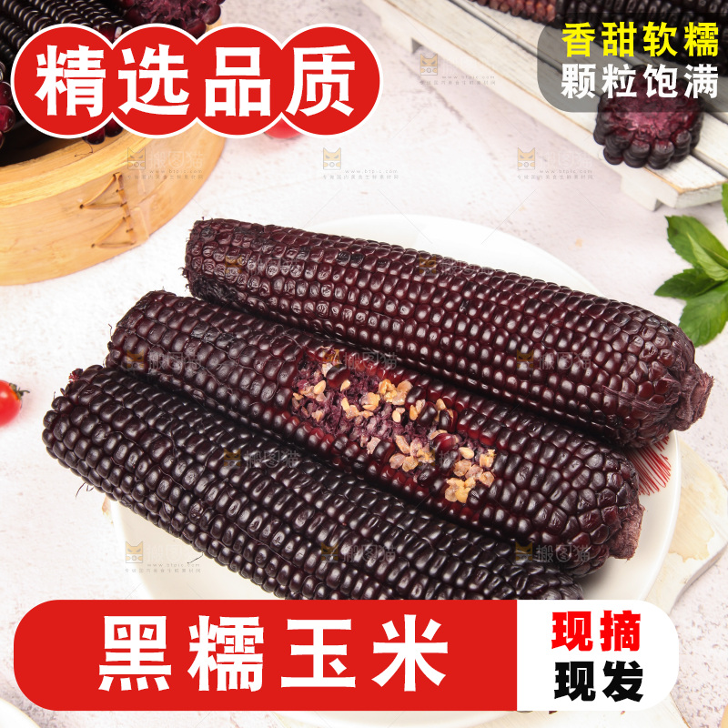 浅底上的黑糯玉米