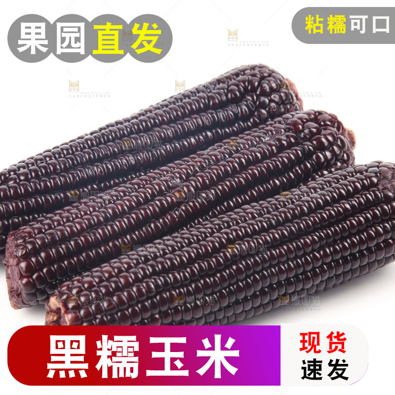 白底上的黑糯玉米
