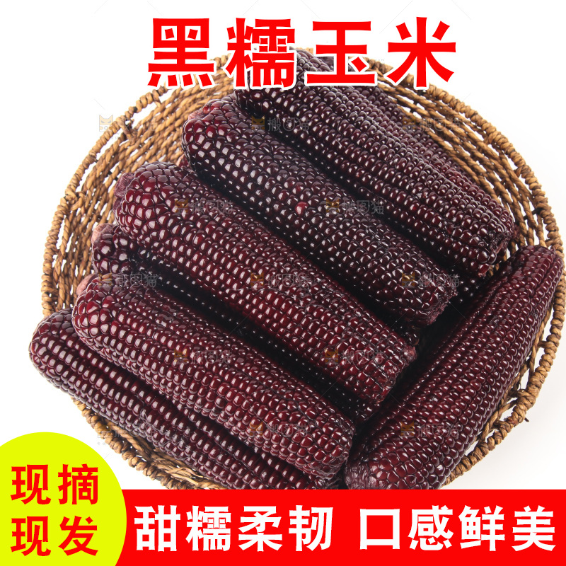 白底上的黑糯玉米