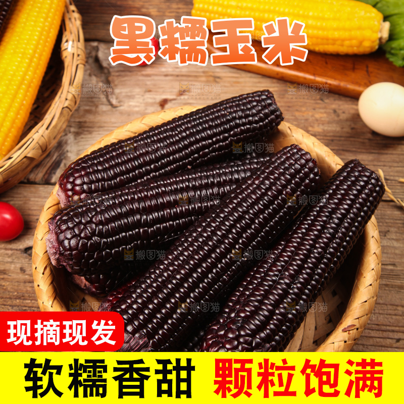 木底上的黑糯玉米