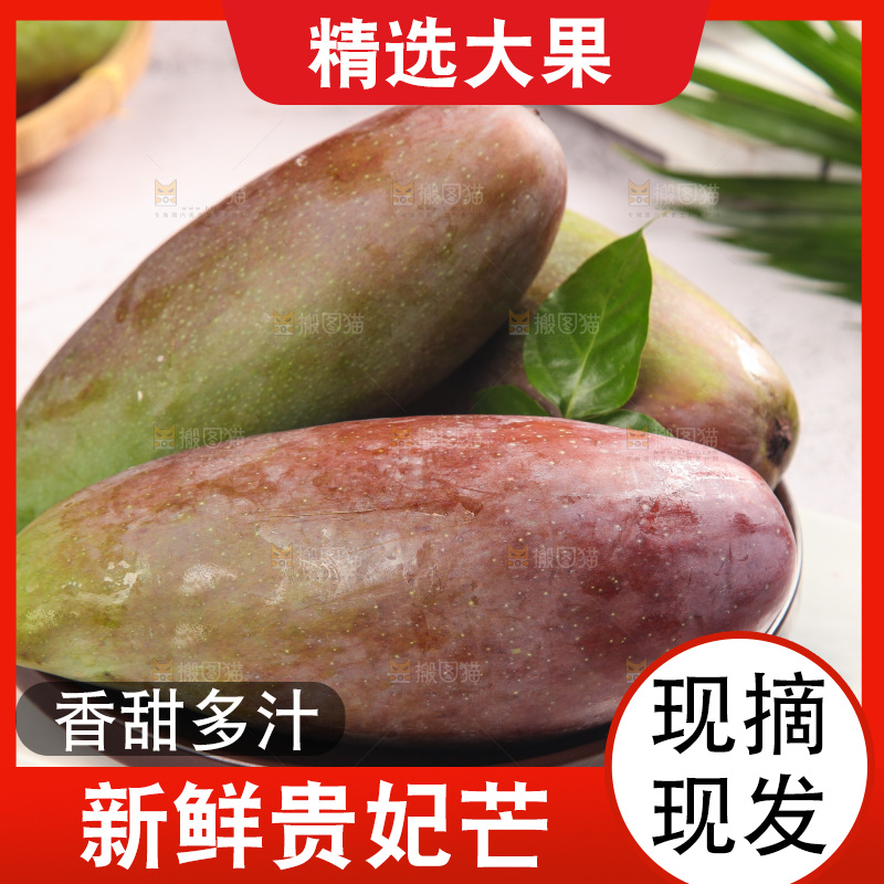 浅底上的贵妃芒