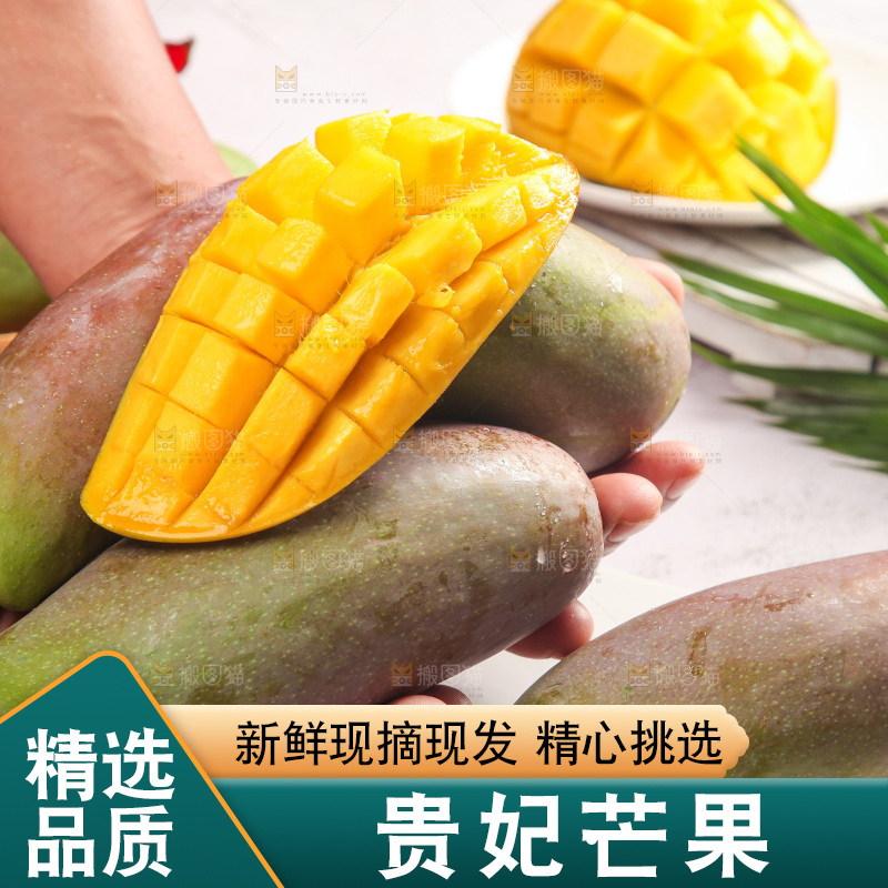 浅底上的贵妃芒