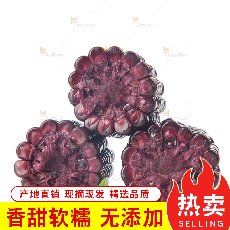 白底上的黑糯玉米