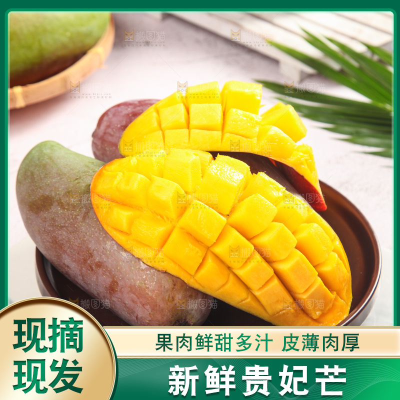浅底上的贵妃芒