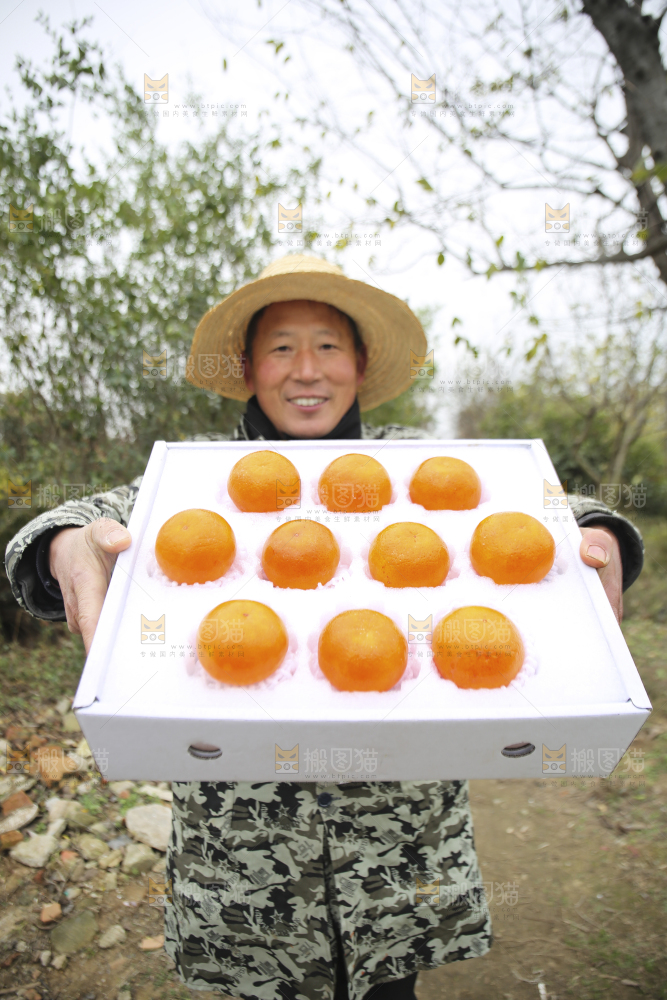 手里拿着沃柑