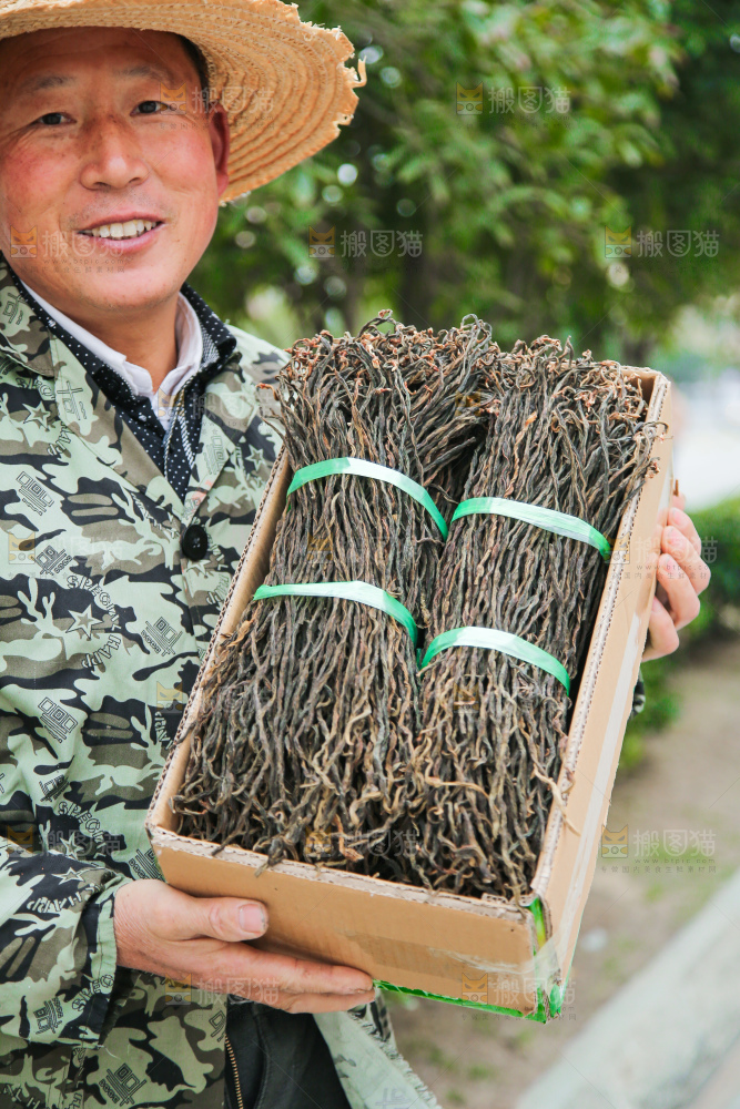 手里拿着干豆角
