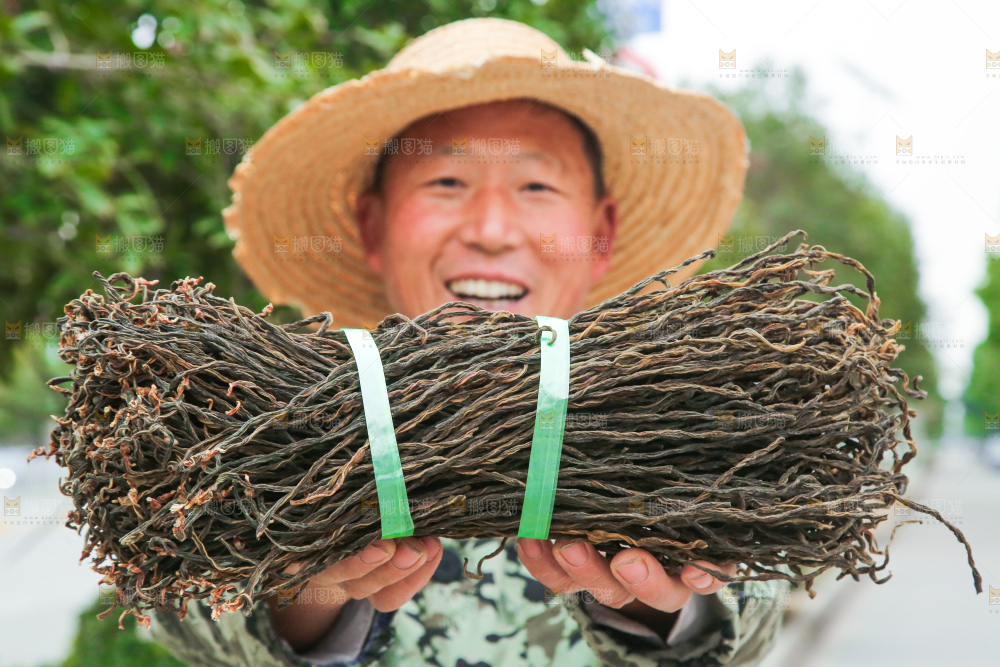 手里拿着干豆角