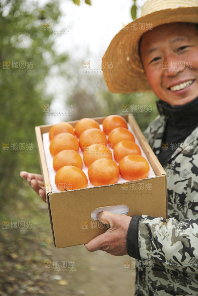 手里拿着沃柑