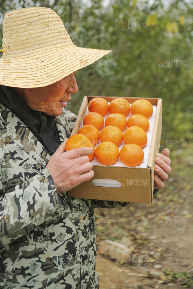 手里拿着沃柑