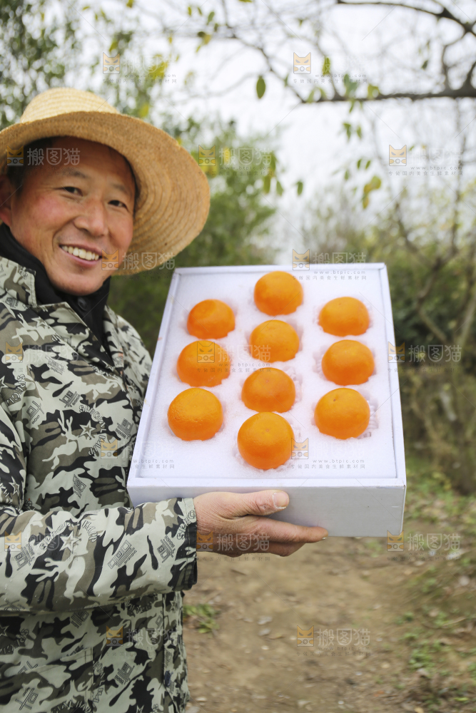 手里拿着沃柑