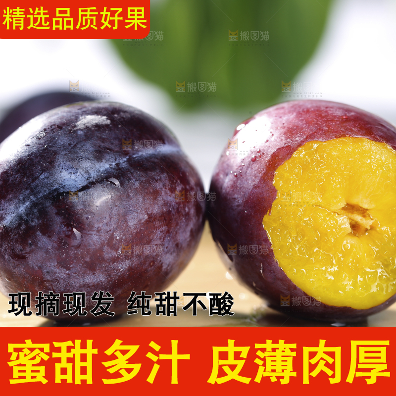 浅底上的西梅