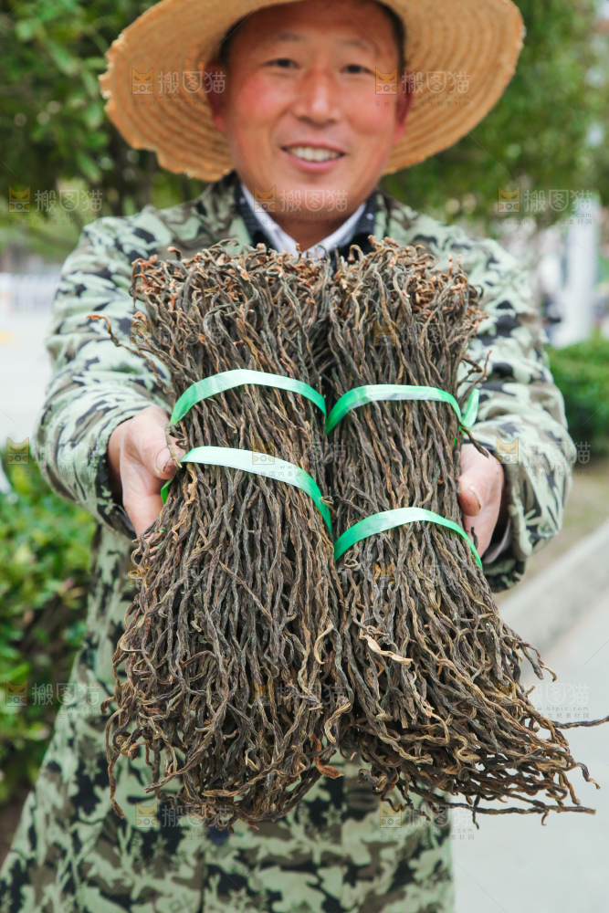 干豆角