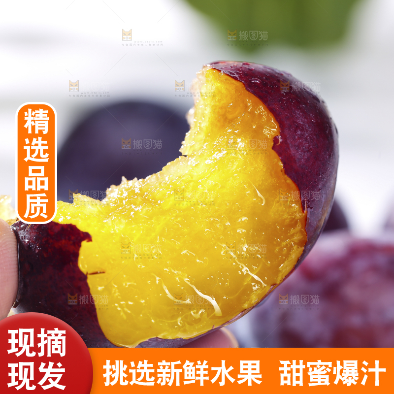 浅底上的西梅