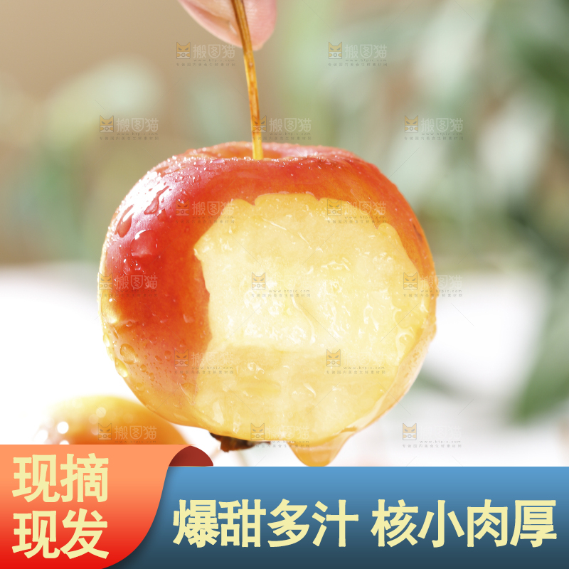 浅底上的海棠果