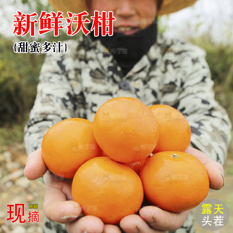 手里拿着沃柑