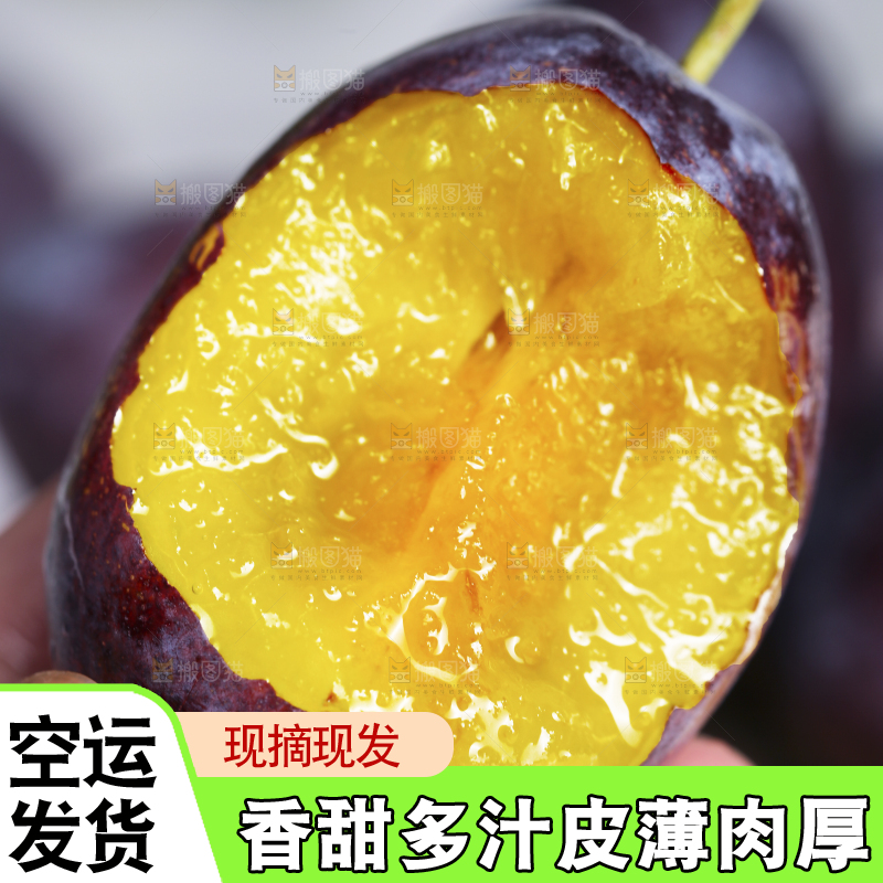 浅底上的西梅