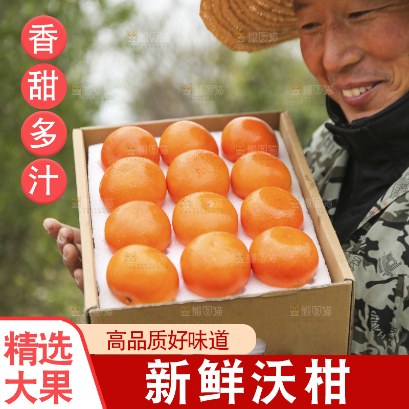 手里拿着沃柑