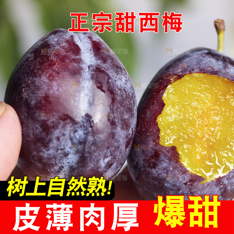 浅底上的西梅