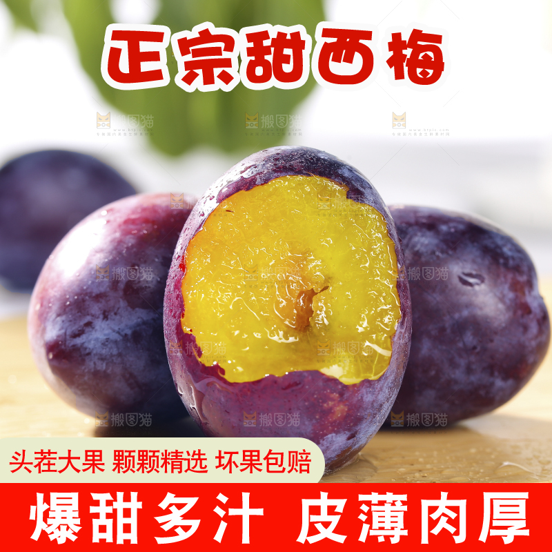 浅底上的西梅
