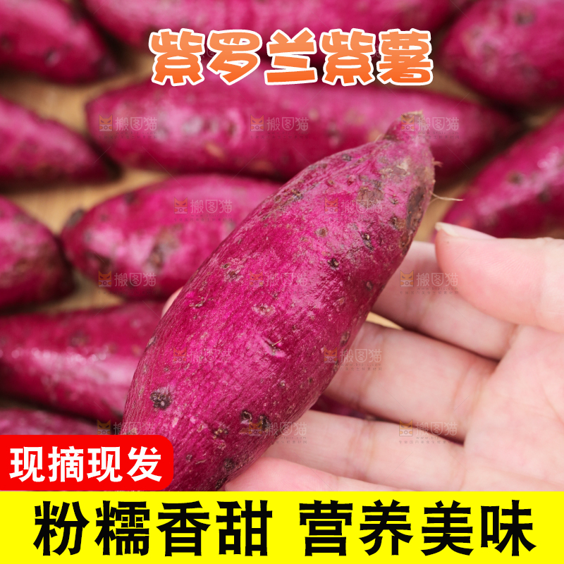 浅底上的板栗紫薯