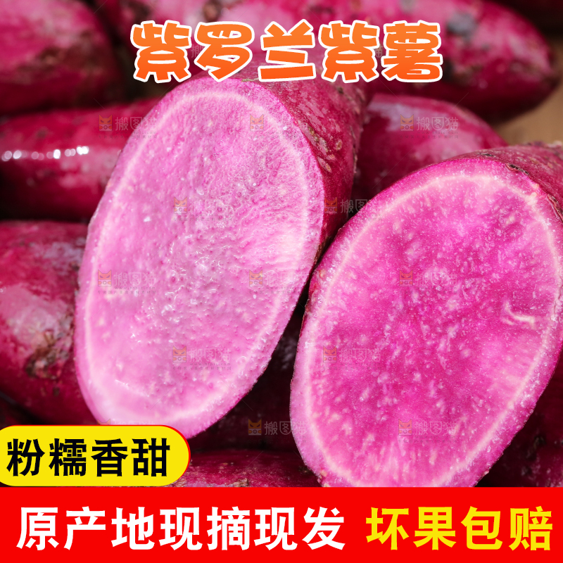 浅底上的板栗紫薯