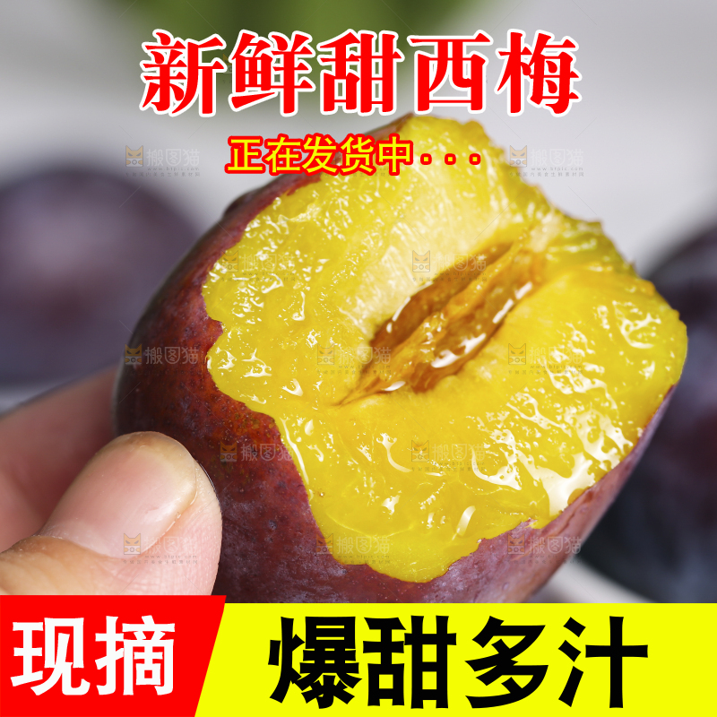 浅底上的西梅
