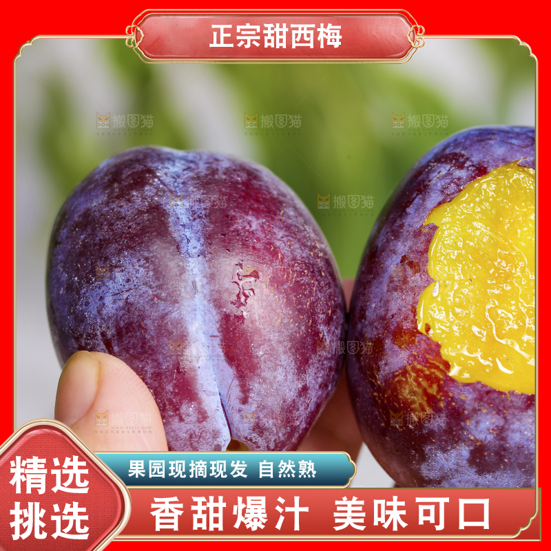 浅底上的西梅