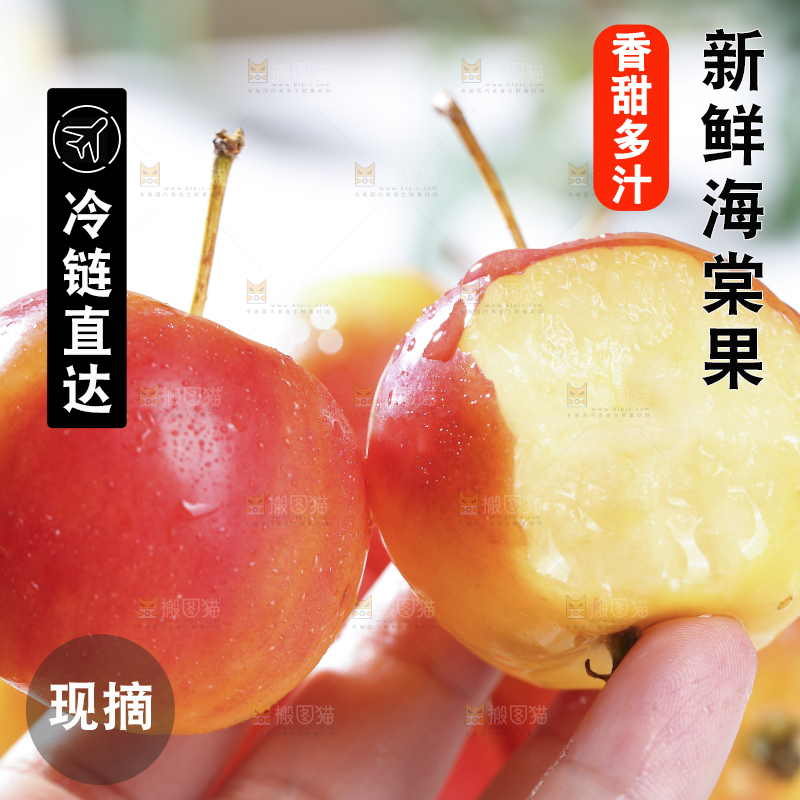 浅底上的海棠果